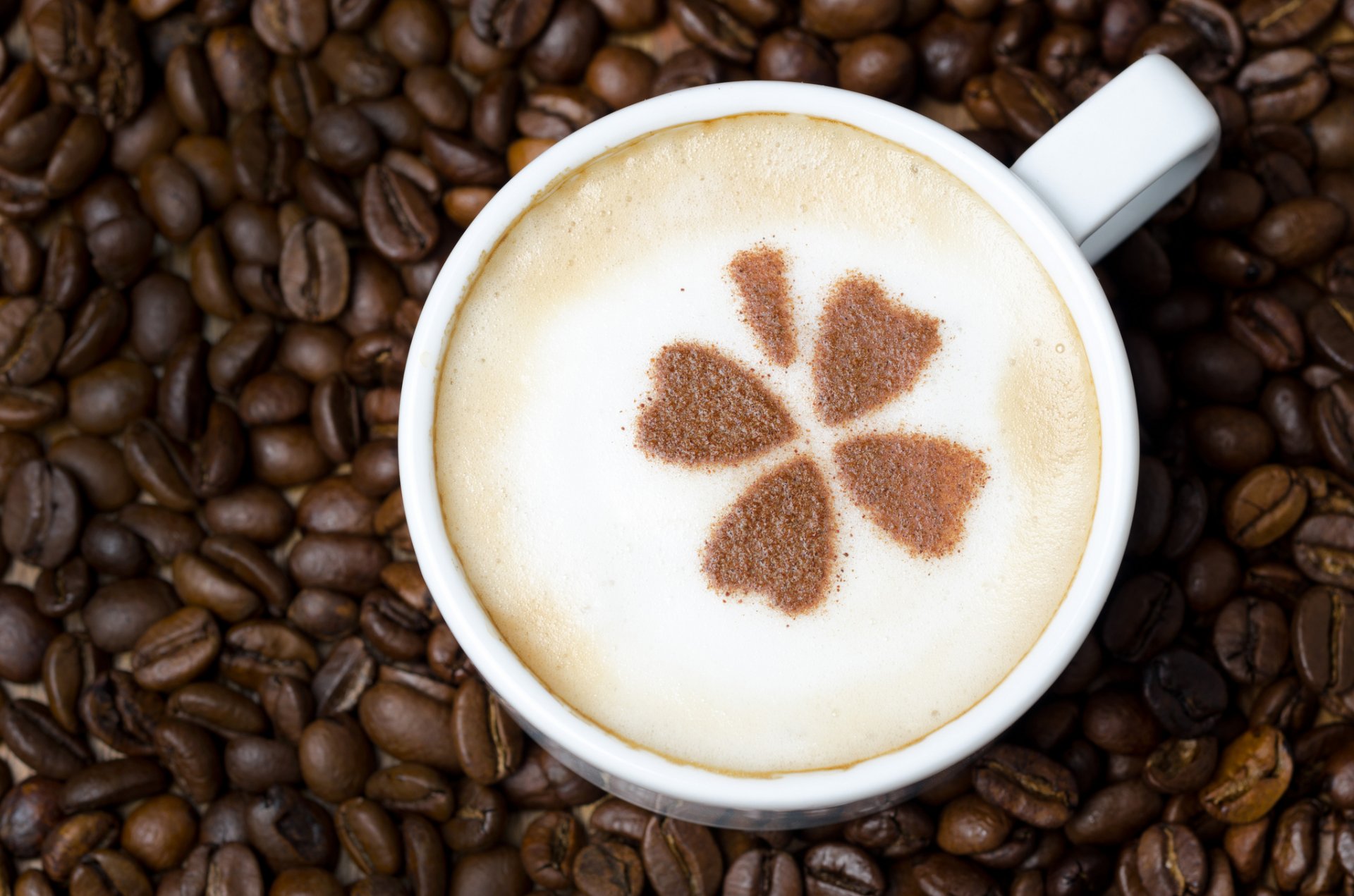 kaffee schaum cappuccino trinken muster blättchen tasse weiß körner