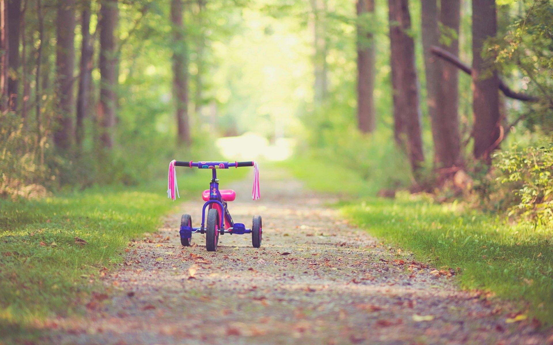 mood bicycle children childhood pink tree trees leaves leaves path path autumn leave background wallpaper widescreen fullscreen widescreen widescreen