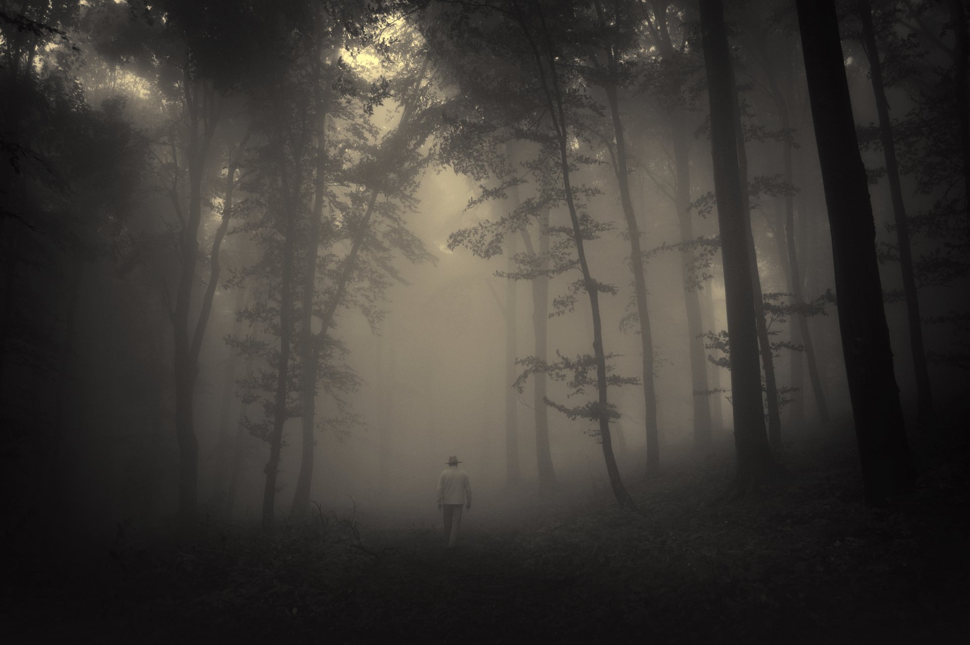 wald bäume gruselig natur landschaft neblig einsamer alter mann straße traurigkeit gruselig neblig