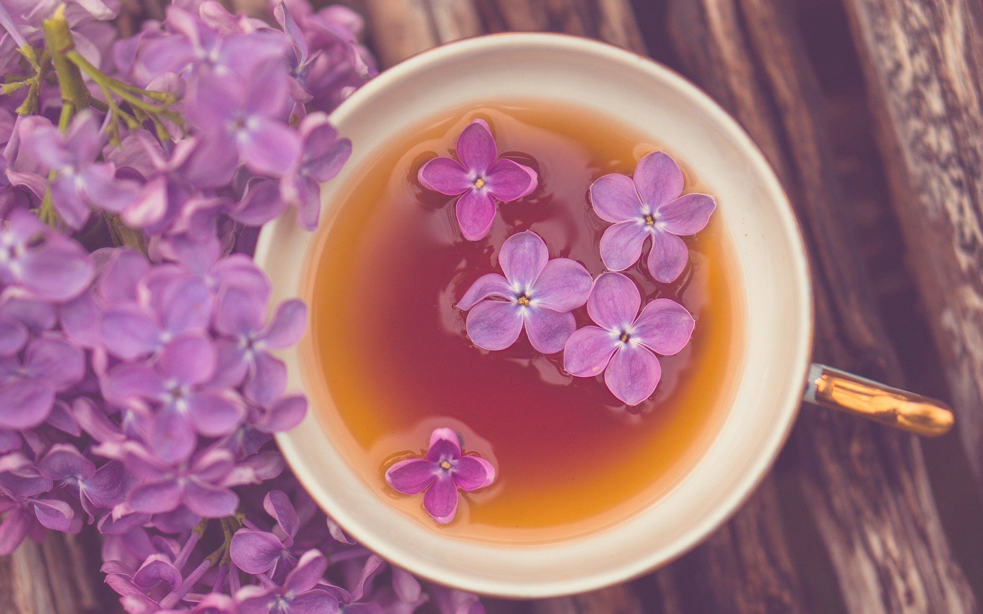 mood mug cup tea flower purple flowers wallpaper widescreen full screen hd wallpapers background fullscreen