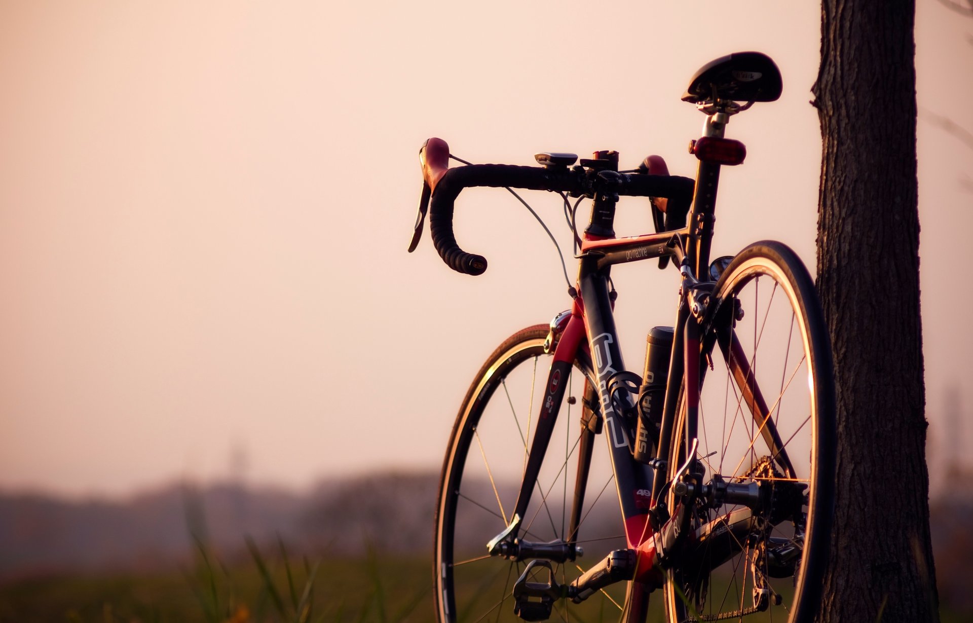 mood bicicletta manubrio ruota ruote albero tronco natura verde sfocatura sfondo carta da parati widescreen schermo intero widescreen widescreen