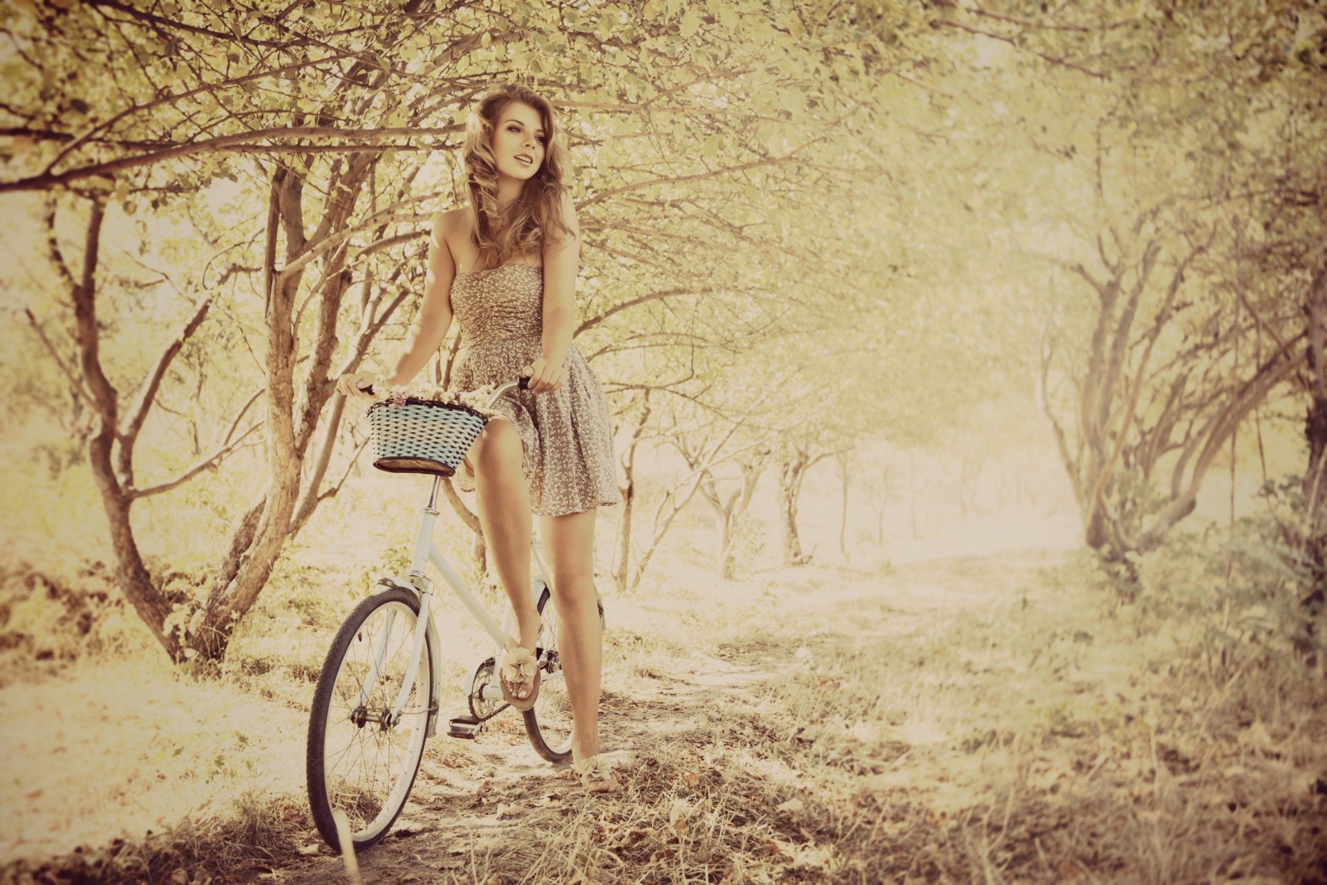 mood ragazza vestito bicicletta cestino alberi foglie rami sfondo passeggiata riposo widescreen schermo intero widescreen carta da parati