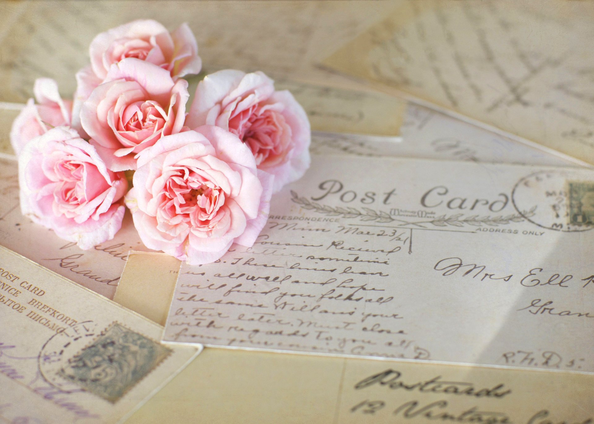 roses fleurs rose vintage cartes postales lettres