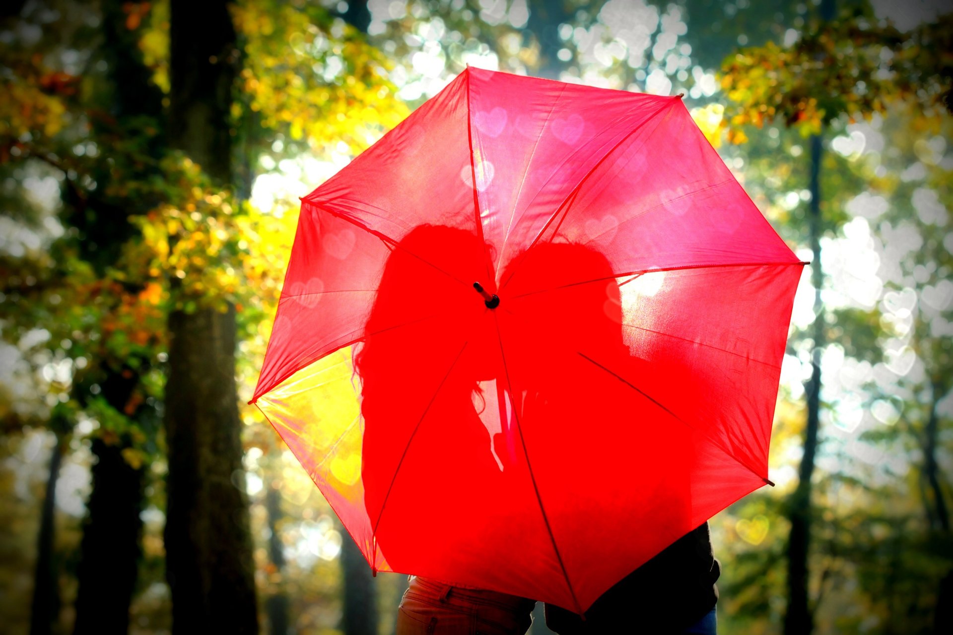 moods girl guy woman couple lovers feelings love romance date umbrella umbrella red shadow silhouette kiss privacy nature trees leaves foliage leaves blur sun background wallpaper widescreen fullscreen widescreen hd