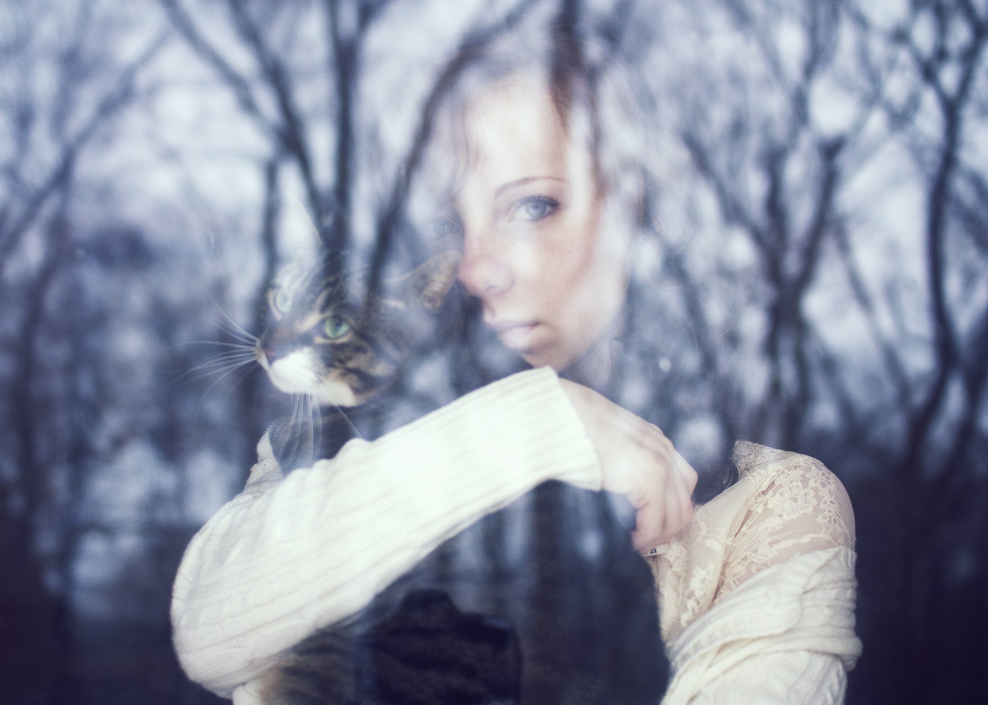 stimmung mädchen gesicht make-up blick sehnsucht einsamkeit katze katze tier nachdenklichkeit glas reflexion baum bäume blätter zweige wetter hintergrund tapete widescreen vollbild widescreen augen einsamkeit t