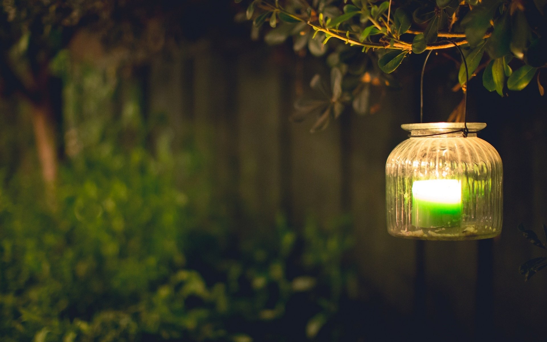 mood lantern lanterns light green candle leaves branch blur tree background wallpaper widescreen fullscreen widescreen widescreen