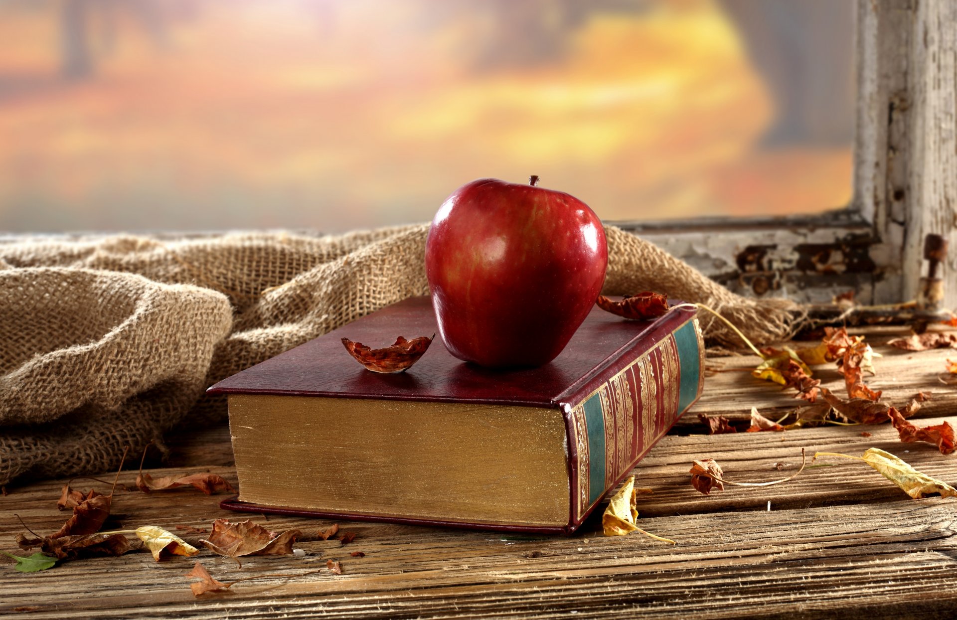 book apple table window leaves dry background autumn