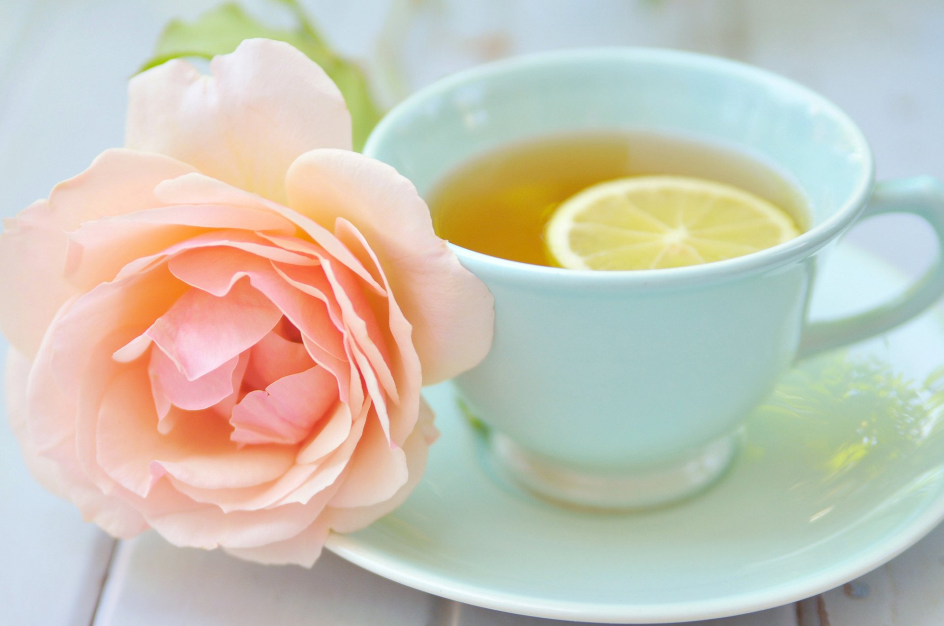 tazza tè limone piattino fiore rosa rosa