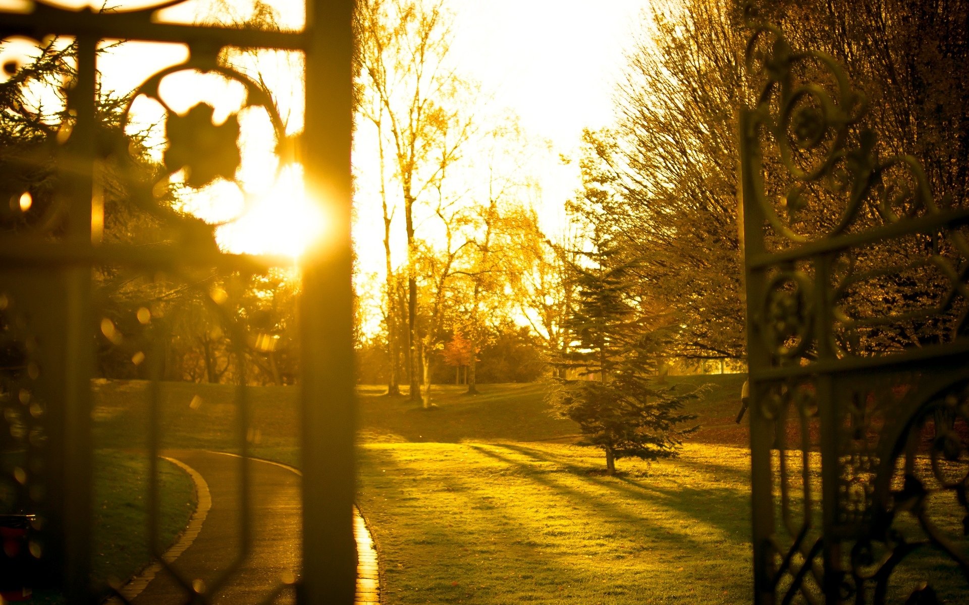 mood nature gate fence fence trees leaves leaves greenery grass path sun rays day blur background wallpaper widescreen fullscreen widescreen