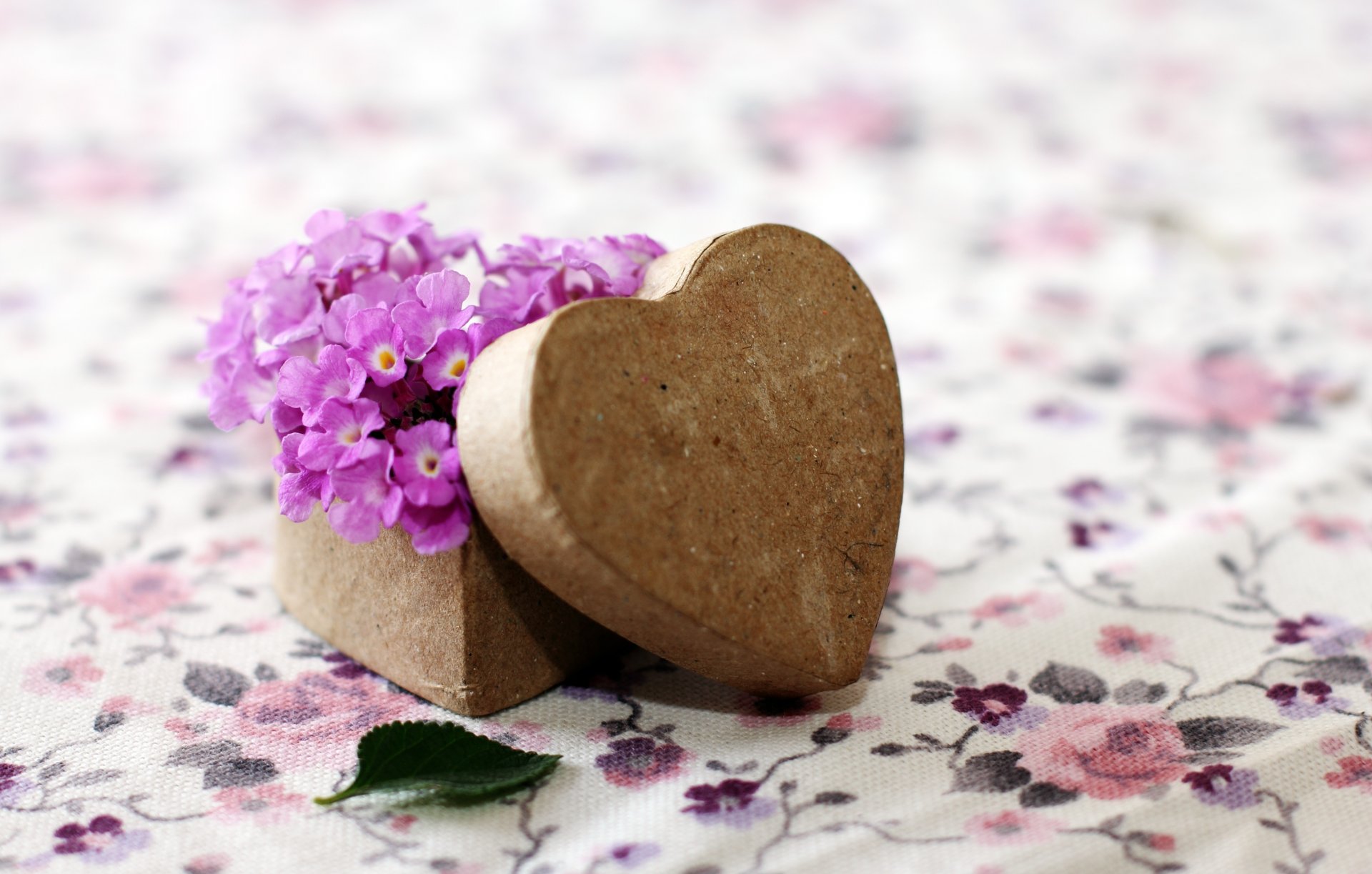 estado de ánimo flores flores púrpura caja forma corazón corazón madera hoja hoja fondo pantalla ancha pantalla completa papel pintado