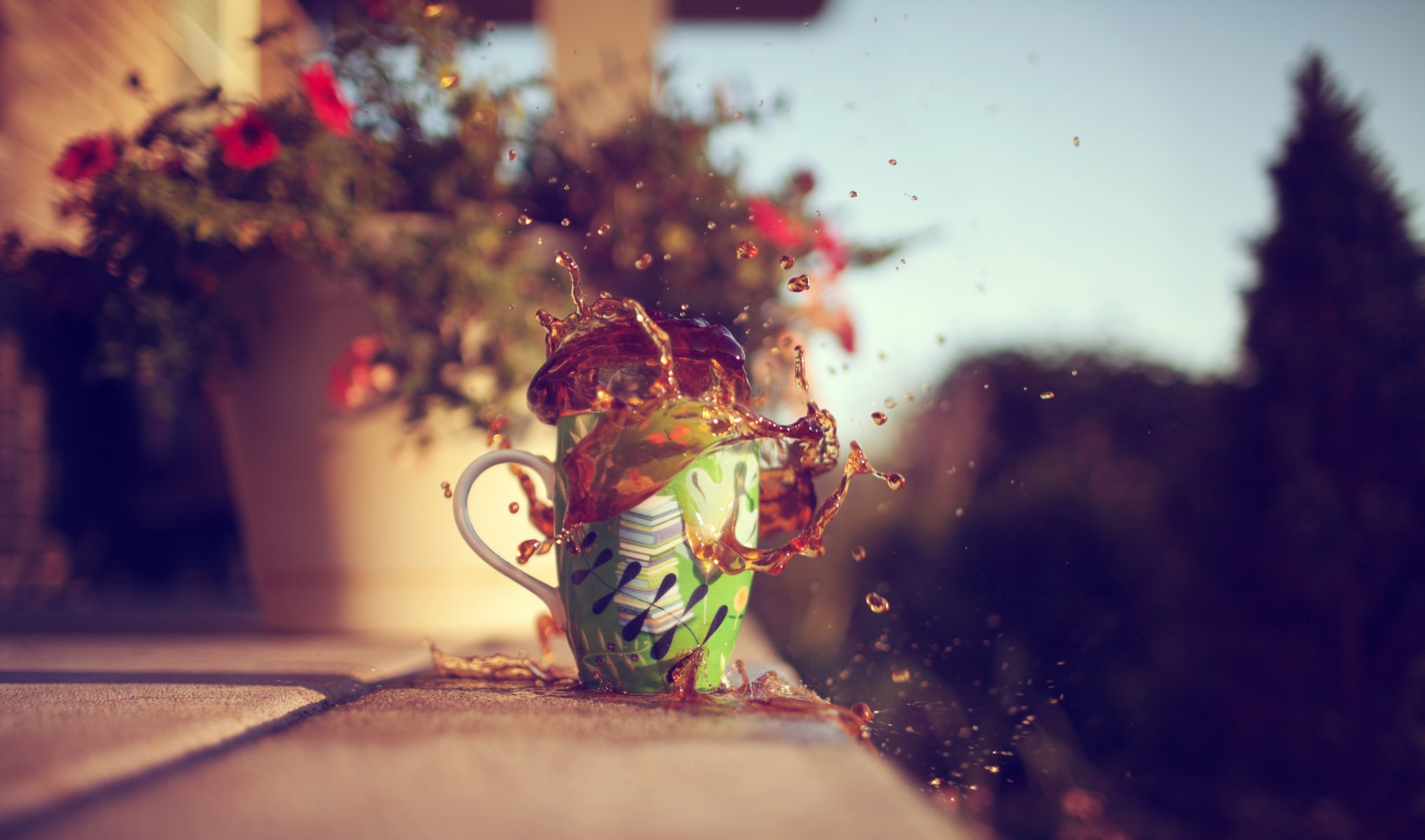 mood mug spray tea flower tree leaves blur background wallpaper widescreen full screen hd wallpapers fullscreen