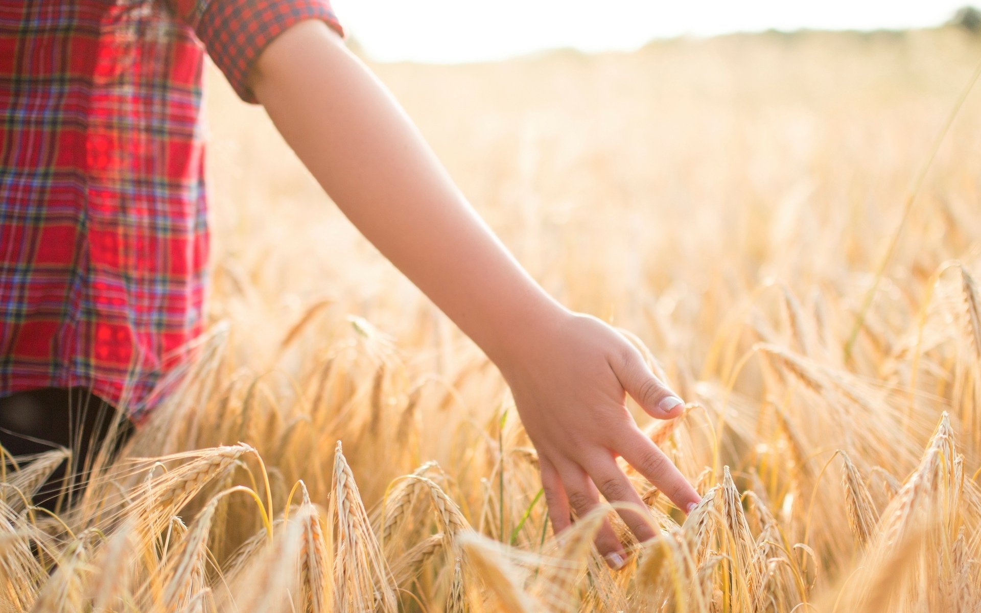 stati d animo bambini ragazzo mano campo grano segale spighe sfondo carta da parati widescreen a schermo intero widescreen widescreen