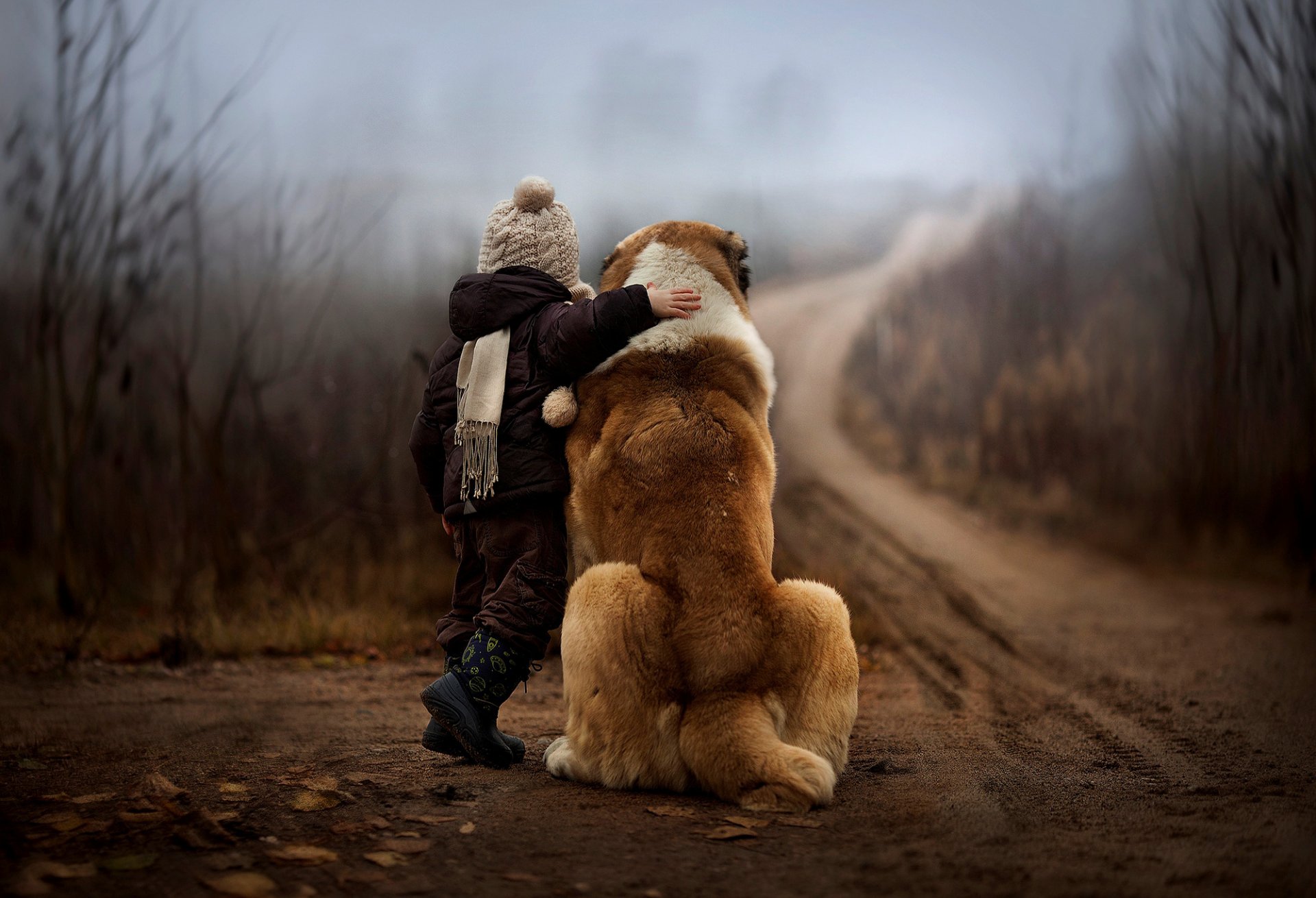 boys child dog autumn forest road nature fog