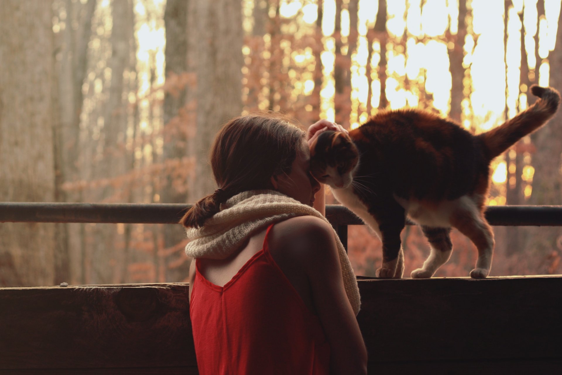 stimmung mädchen katze schal jacke rot natur bäume sonne hintergrund tapete