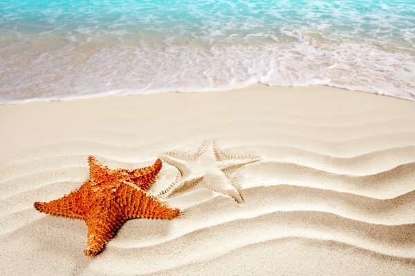 ÉTOILE DE MER SUR LE SABLE AU BORD DE LA MER