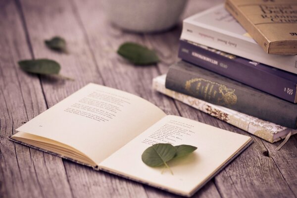 Livres de Poésie sur la table parsemés de feuilles d arbres