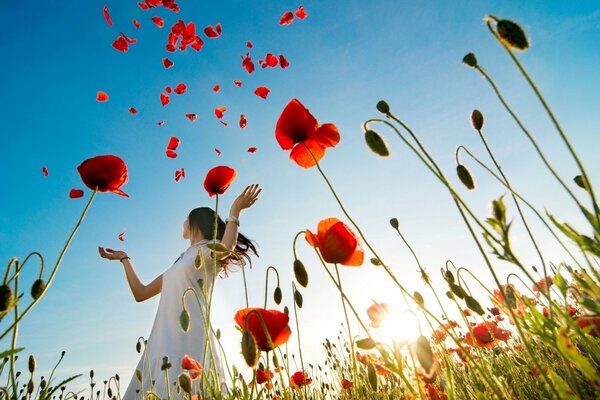 The girl in the poppy field