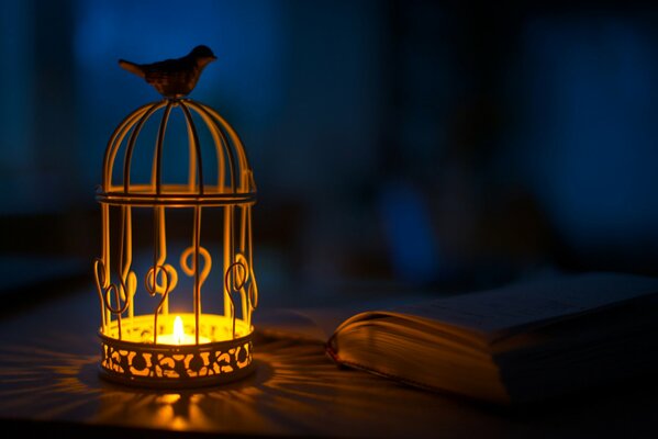 Lantern in the light of night