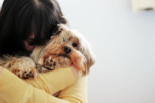 Brunette girl hugs a dog