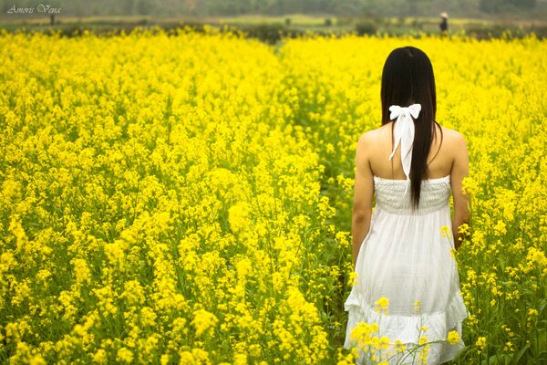 Beautiful girl in a white dress on a chic background