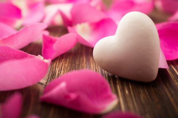 Rose petals for mood for loved ones