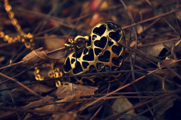 Dans les feuilles d automne se trouve un pendentif coeur