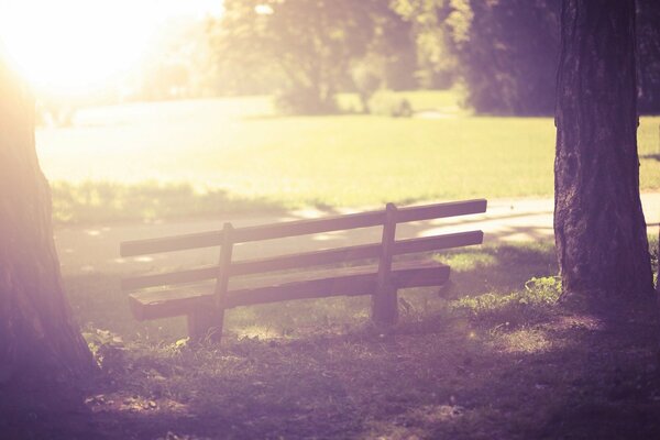 Earlier in the morning a park bench