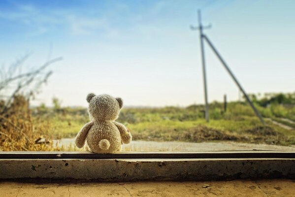 A toy bear cub sitting with its back against the background of nature