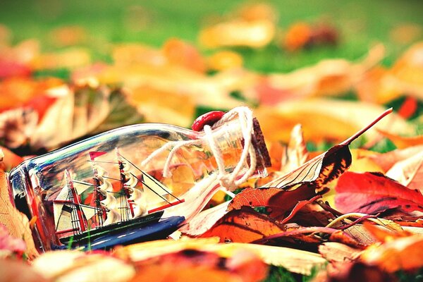 Schiff in einer Flasche auf Herbstlaub