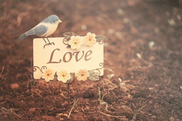 A little bird brought love