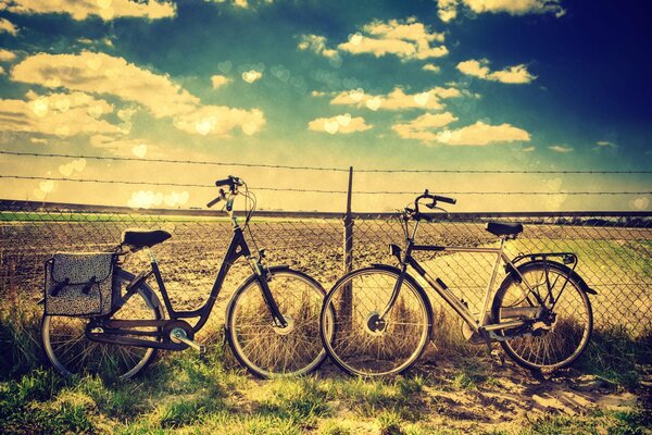 Due biciclette su uno sfondo di cielo sereno