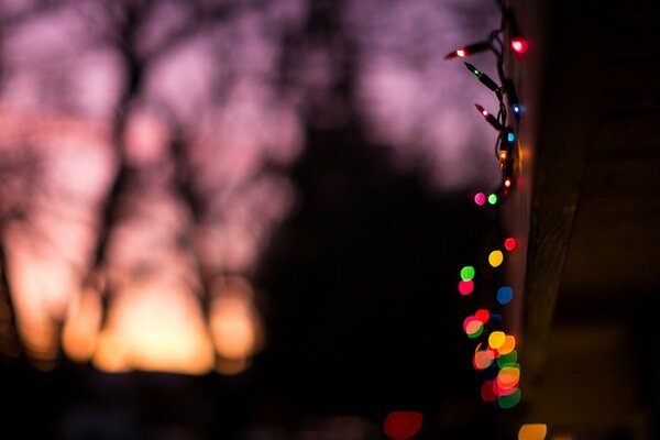 Christmas lights on the background of sunset