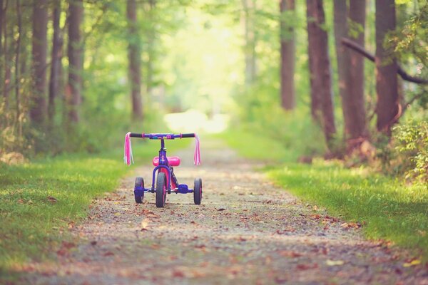 Children s bike on the path in the park