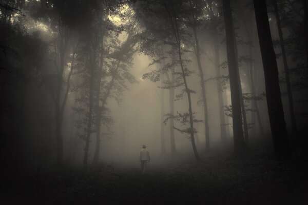 Hombre en el bosque de niebla caminando por el camino