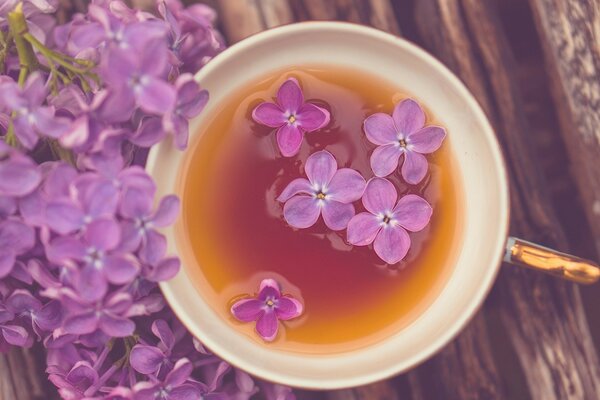 Bellissimo sfondo di fiori lilla nel tè