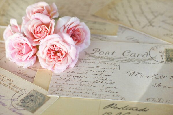 Bouquet de roses roses sur les lettres