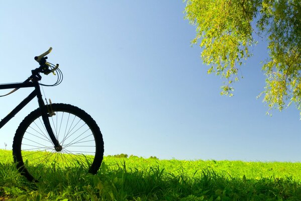 Fahrrad auf einer grünen Wiese am Himmelshintergrund