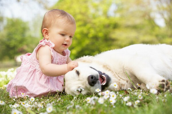 Petite fille caresse un chien blanc