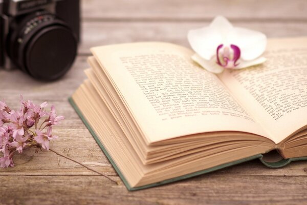 An orchid on an old book