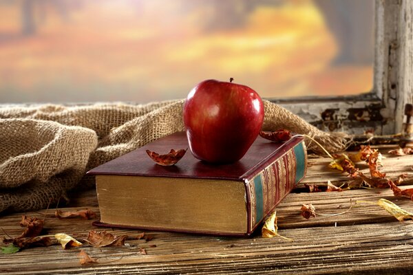 A red apple on a book lying on the windowsill