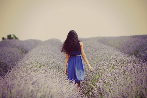 Une fille en bleu marche sur un champ de fleurs