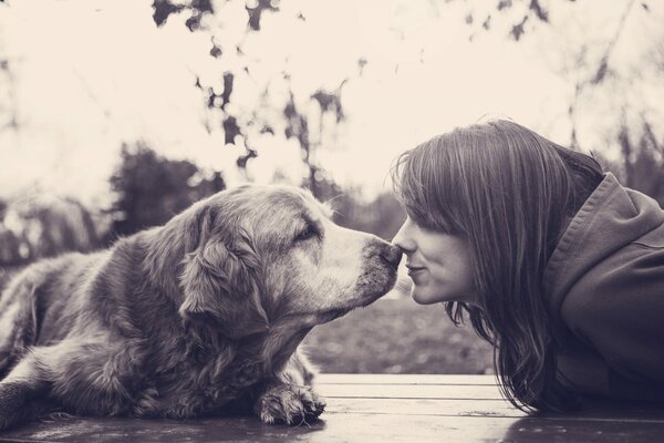 Ragazza con sorriso e cane amici