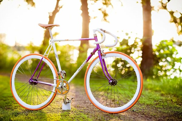 Hermosa bicicleta en la pista verde