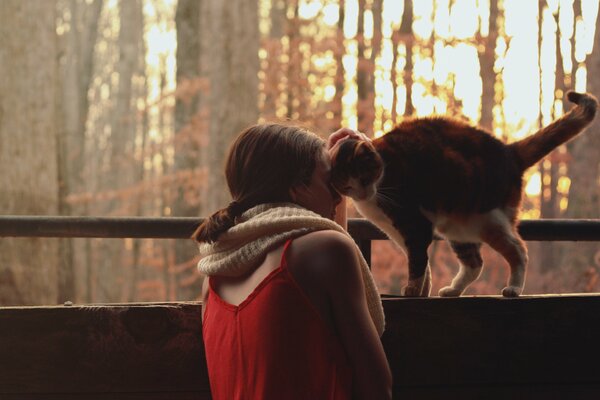 Chica con bufanda y gato amoroso