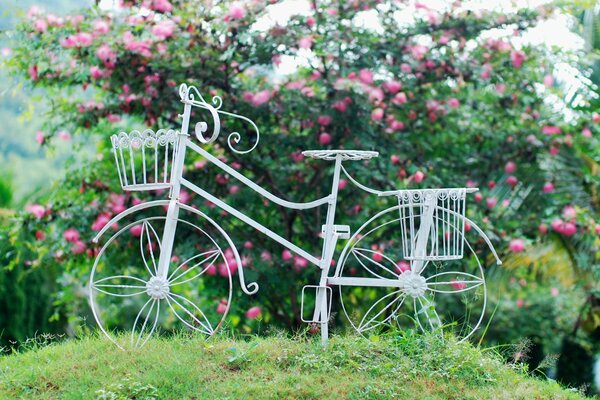 Instalación de una bicicleta blanca en arbustos en flor