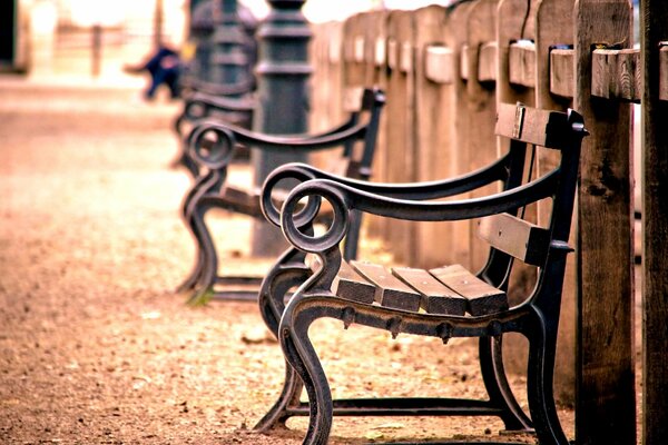 Benches in the park on a quiet autumn evening