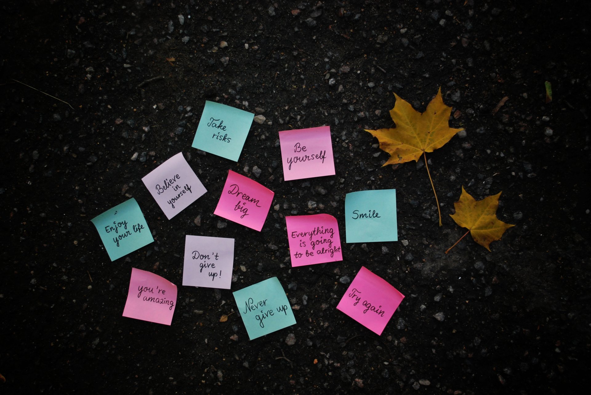 tickers pieces of paper paper inscriptions phrase earth surface leaves yellow autumn maple