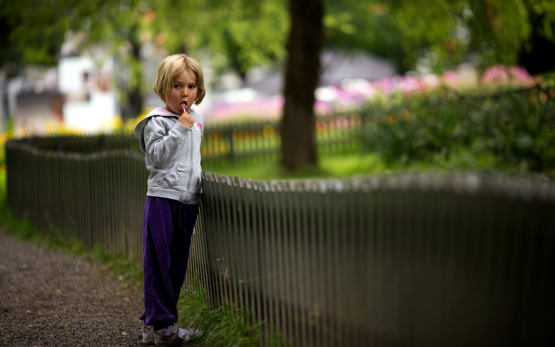 girl fence summer