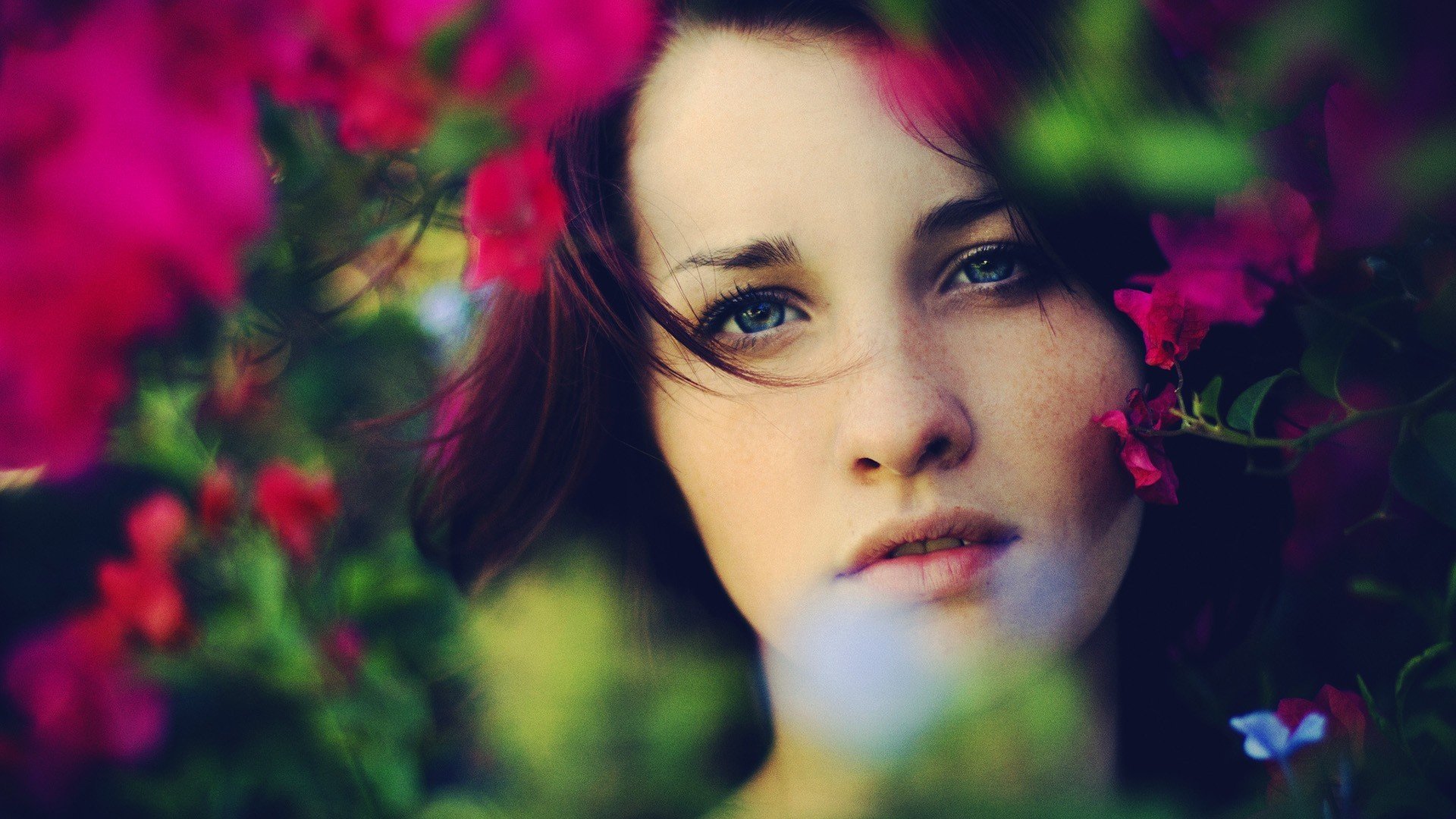 stimmung mädchen gesicht make-up aussehen rotes haar blumen pflanze blätter grün laub zähne lippen hintergrund tapete