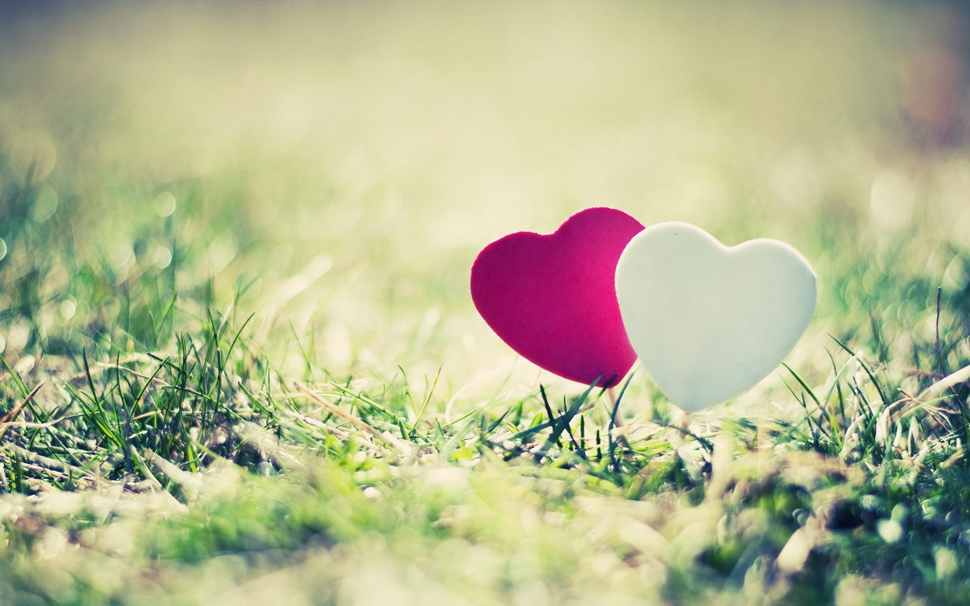 nature landscape grass greenery heart hearts pink love beautiful foe sun desktop wallpaper wallpaper fullscreen